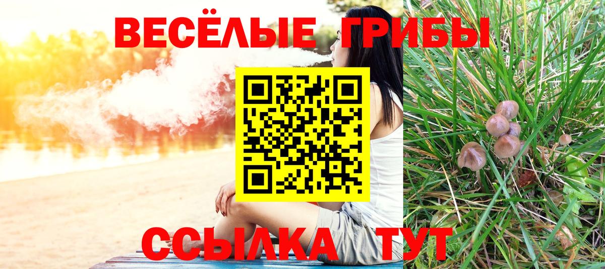 Галлюциногенные грибы мухоморы  Псилоцибиновые грибы Magic Shrooms  Кингисепп  Вход с VPN 